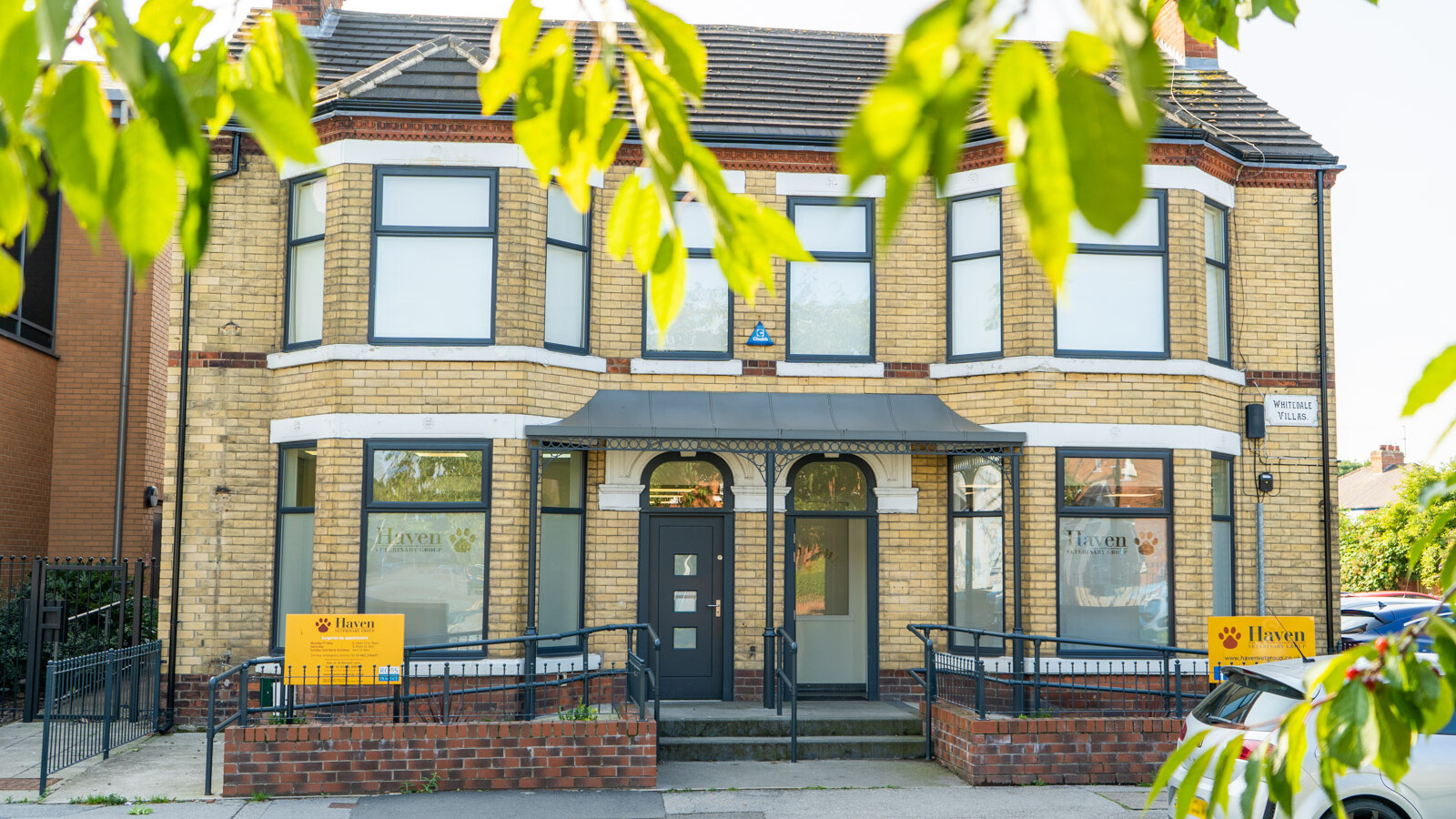 Building photography of business front with leaves in the foreground