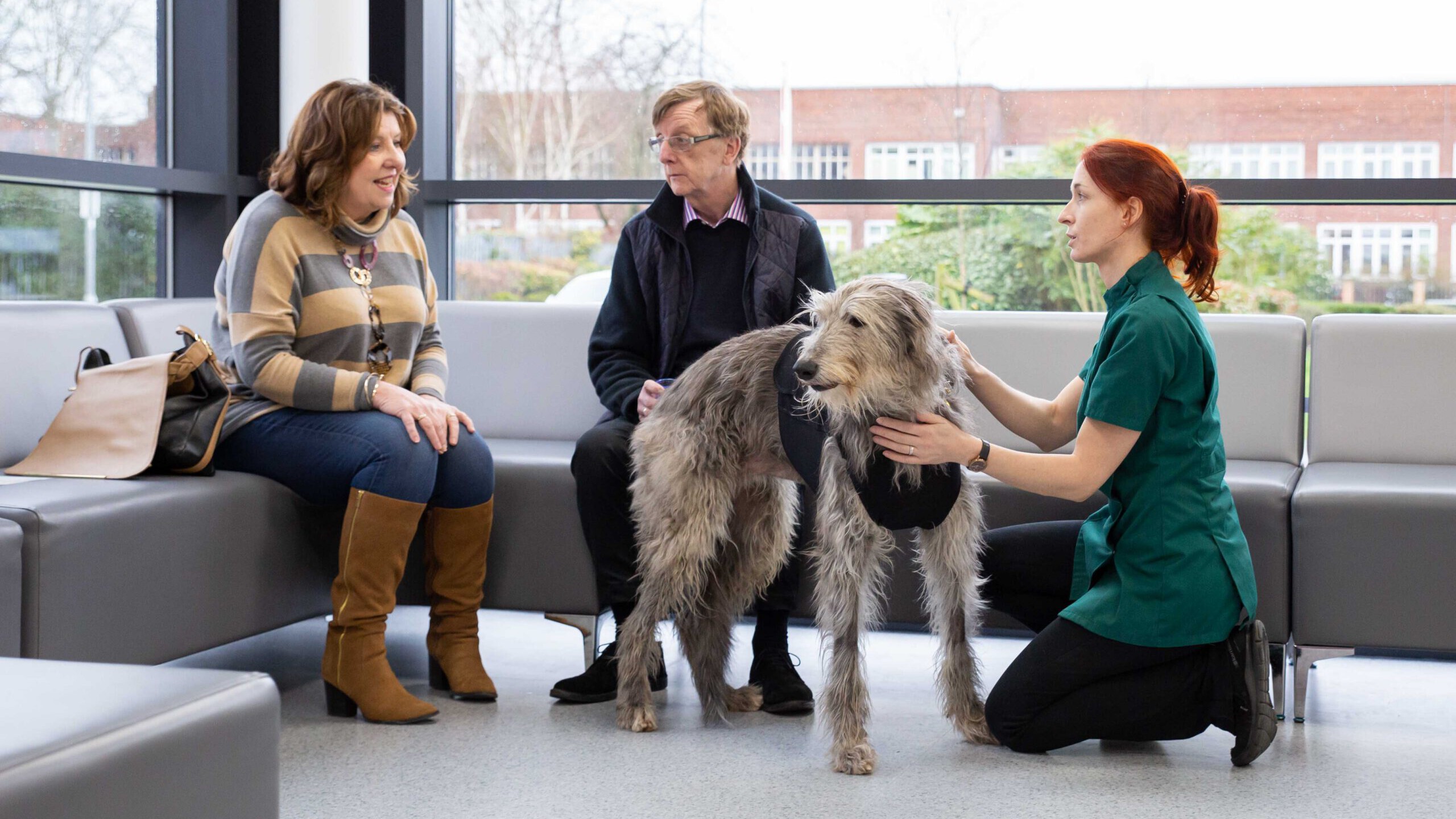 Customer care photography of a vet interacting with clients in a veterinary practice
