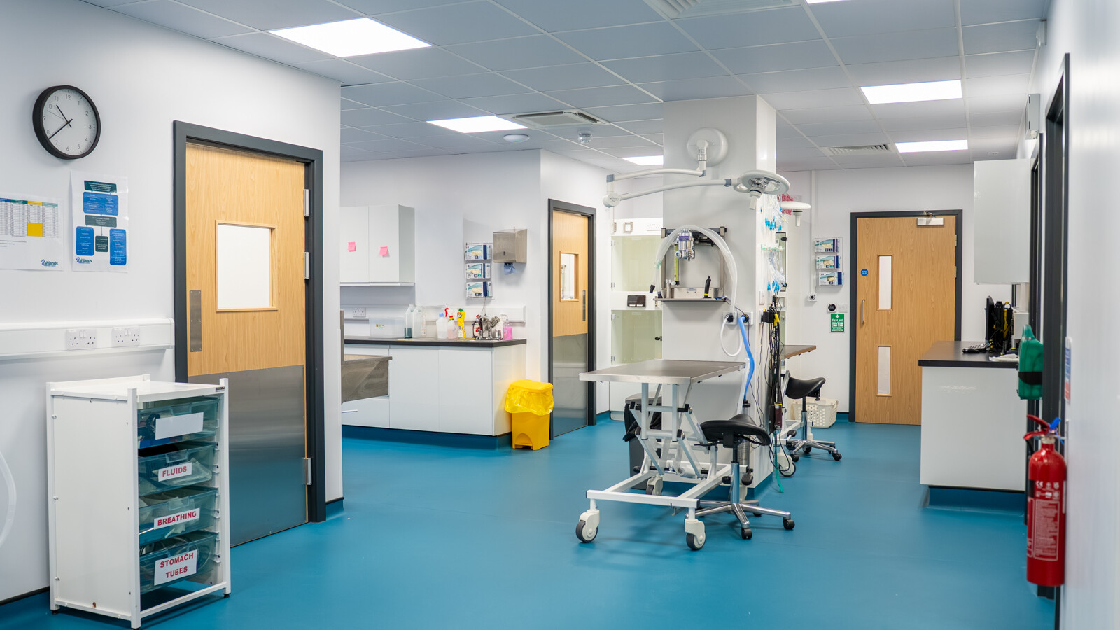 Veterinary hospital environment photography setting